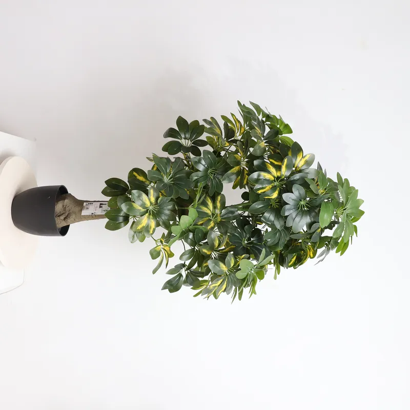 Bonsai Garden Price - Großhandel Fabrikdirektpreis Künstlicher Bonsai-Baum Schefflera für