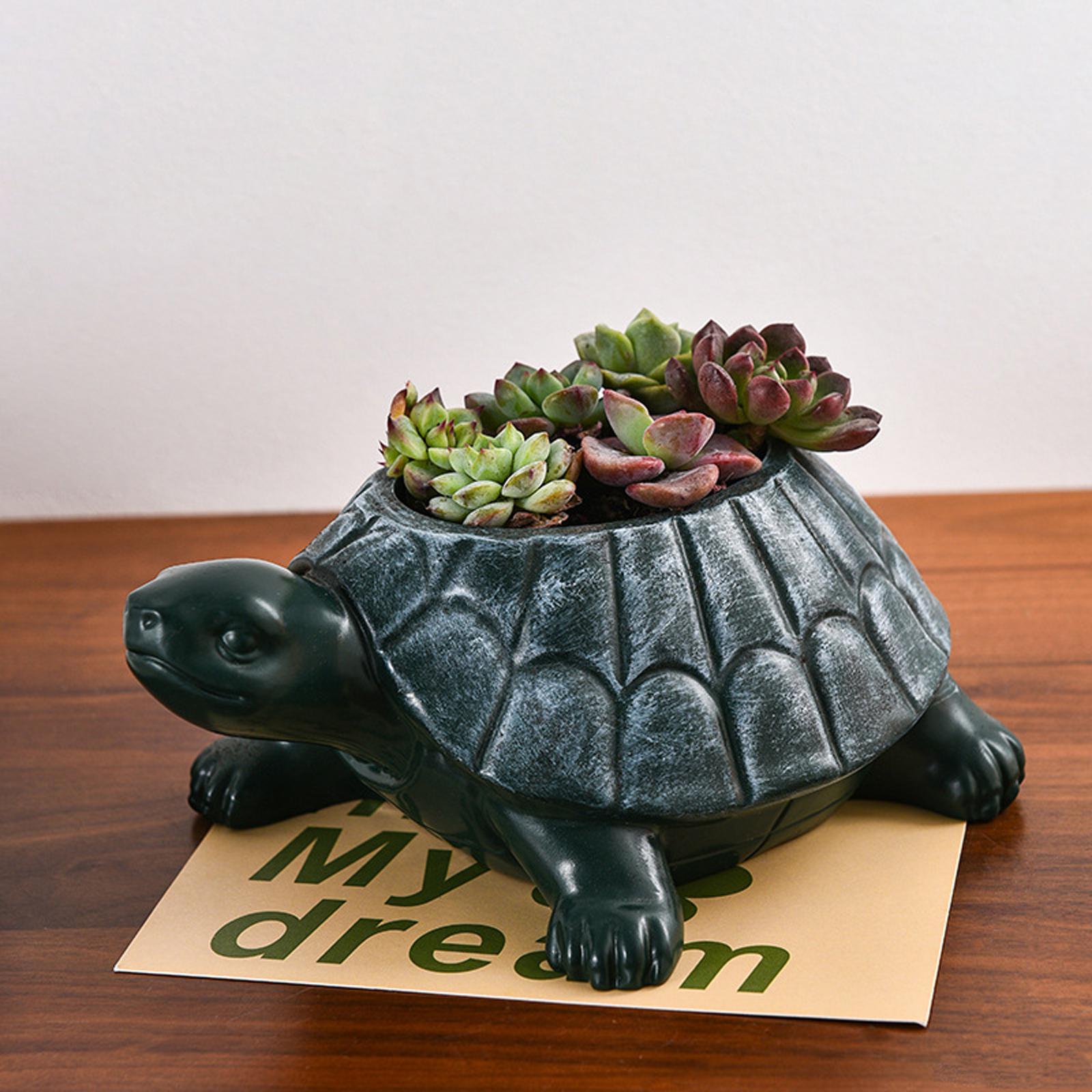 Bonsai Garden Cafe - Schildkröten-Blumentopf Sammlerstück Dekorativer Schreibtisch-Schmuck Kunst-Bonsai-Topf Tier-Gartentopf