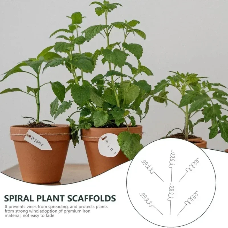 Kletterpflanzen-Stützstange, R – Bonsai Garden Plants Bewertung und Preis