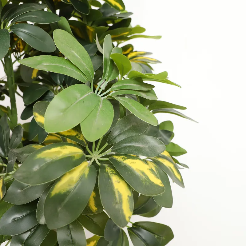 Großhandel Fabrikdirektpreis K – Bonsai Garden Price Bewertung und Preis