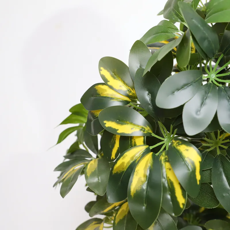 Großhandel Fabrikdirektpreis K – Bonsai Garden Price Bewertung und Preis