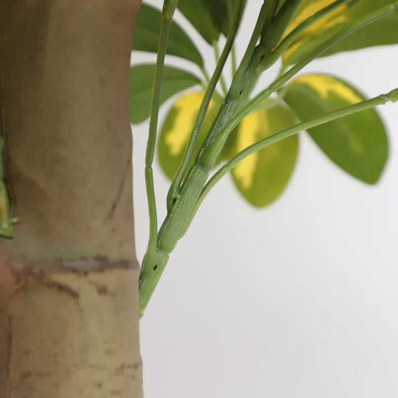 Großhandel Fabrikdirektpreis K – Bonsai Garden Price Bewertung und Preis