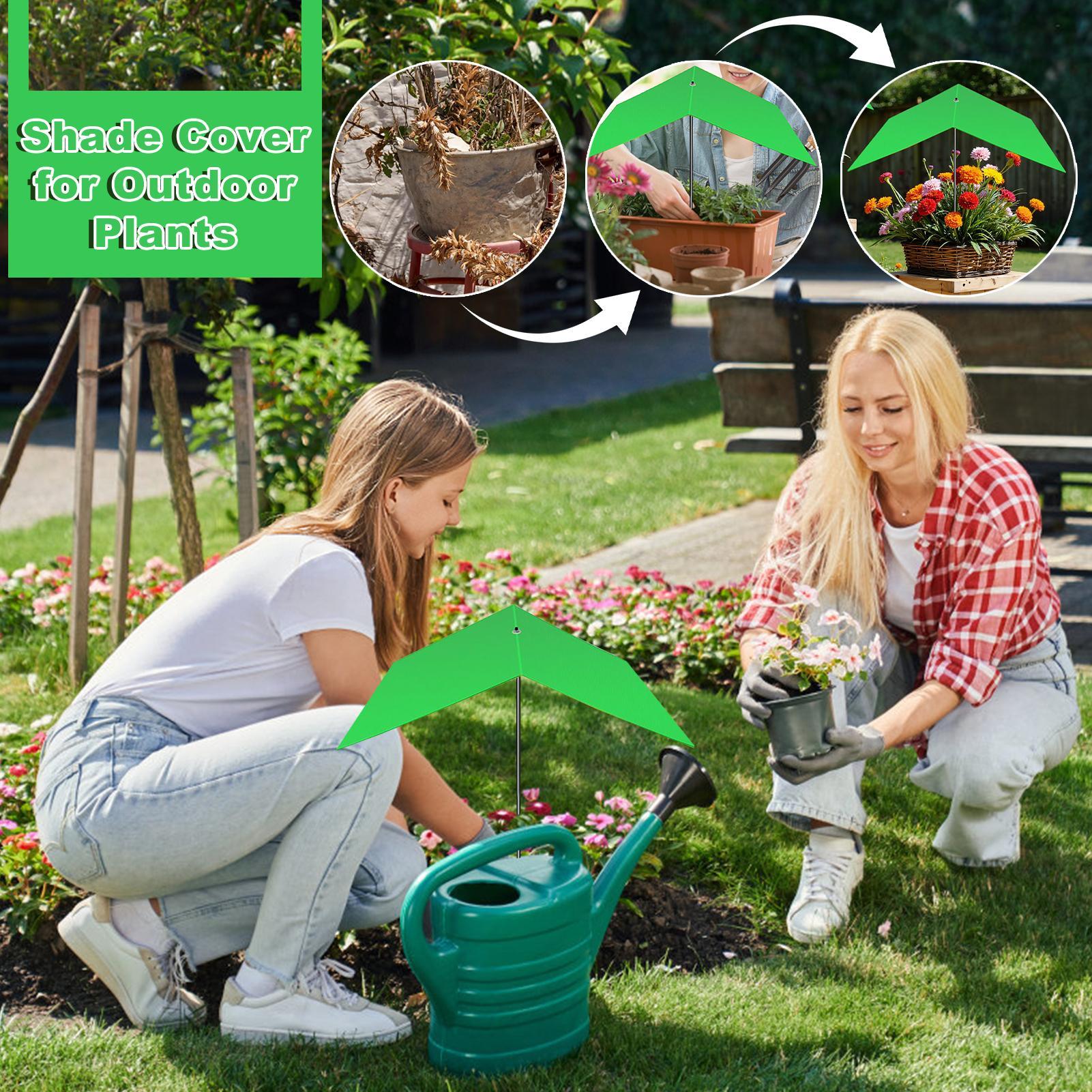 Pflanzenschirm, Anti-UV-Hitzes – Bonsai Garden Cafe Bewertung und Preis