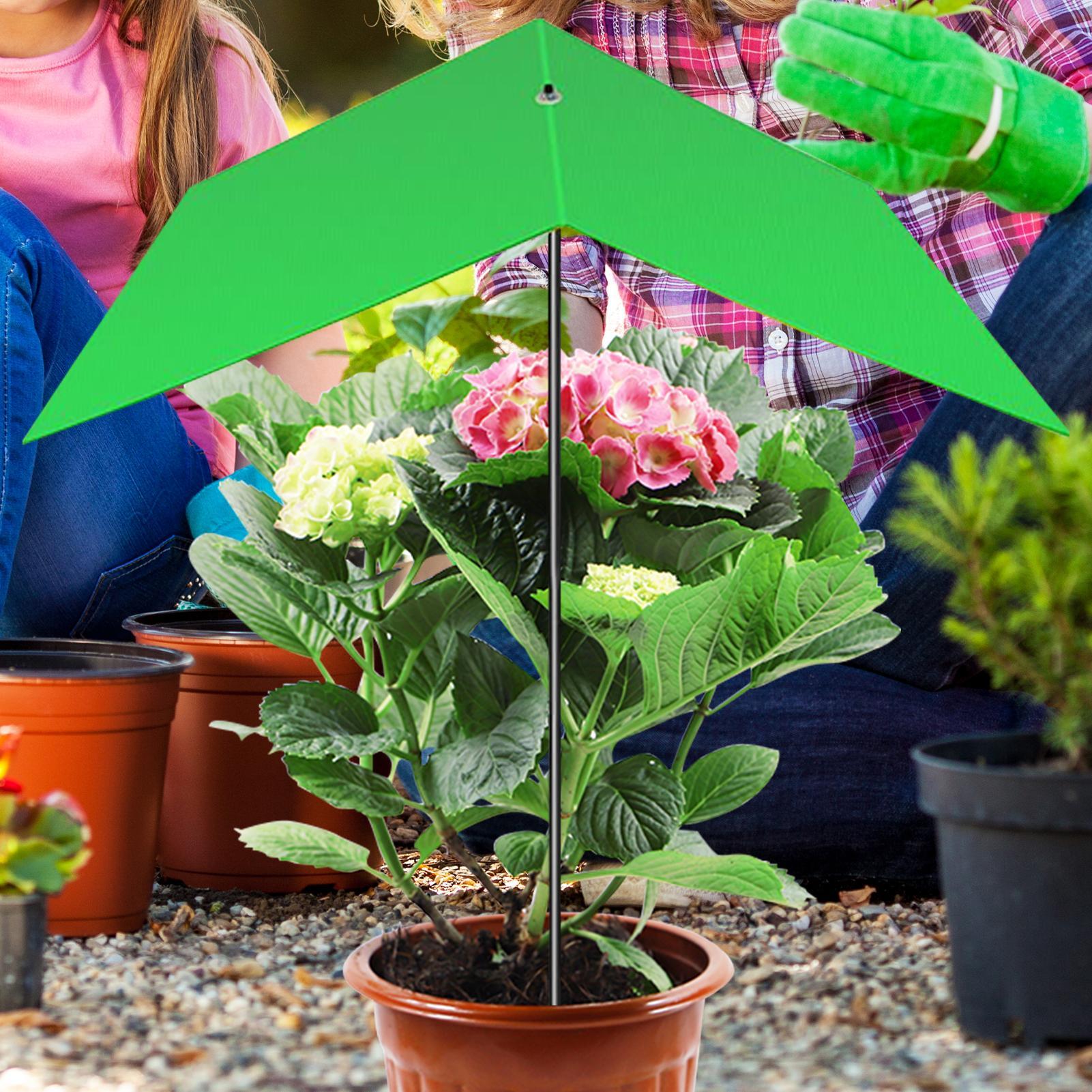Pflanzenschirm, Anti-UV-Hitzes – Bonsai Garden Cafe Bewertung und Preis