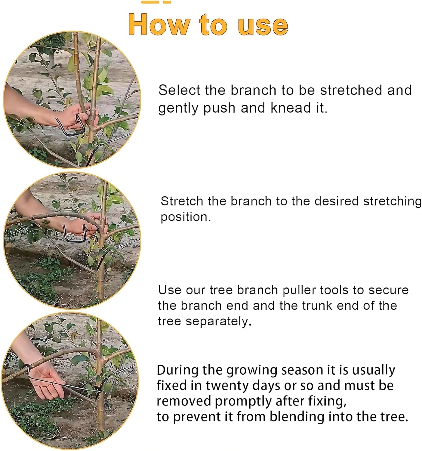 Verstellbarer Obstbaum-Astform – Bonsai Garden Plants Bewertung und Preis