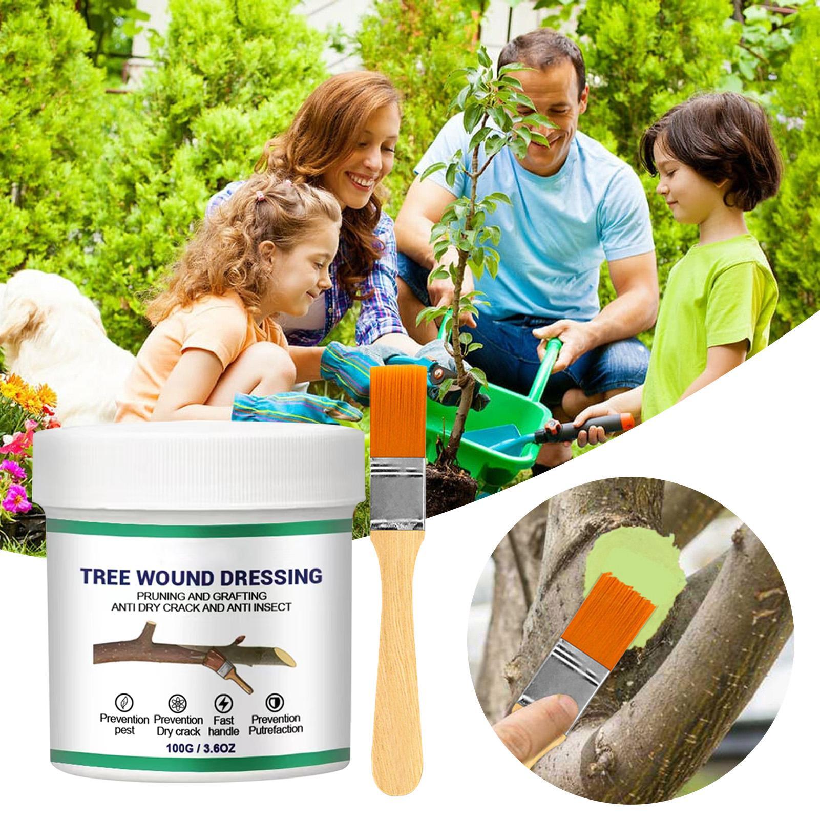 100g Baumwund-Versiegelungsmit – Bonsai Garden Plants Bewertung und Preis