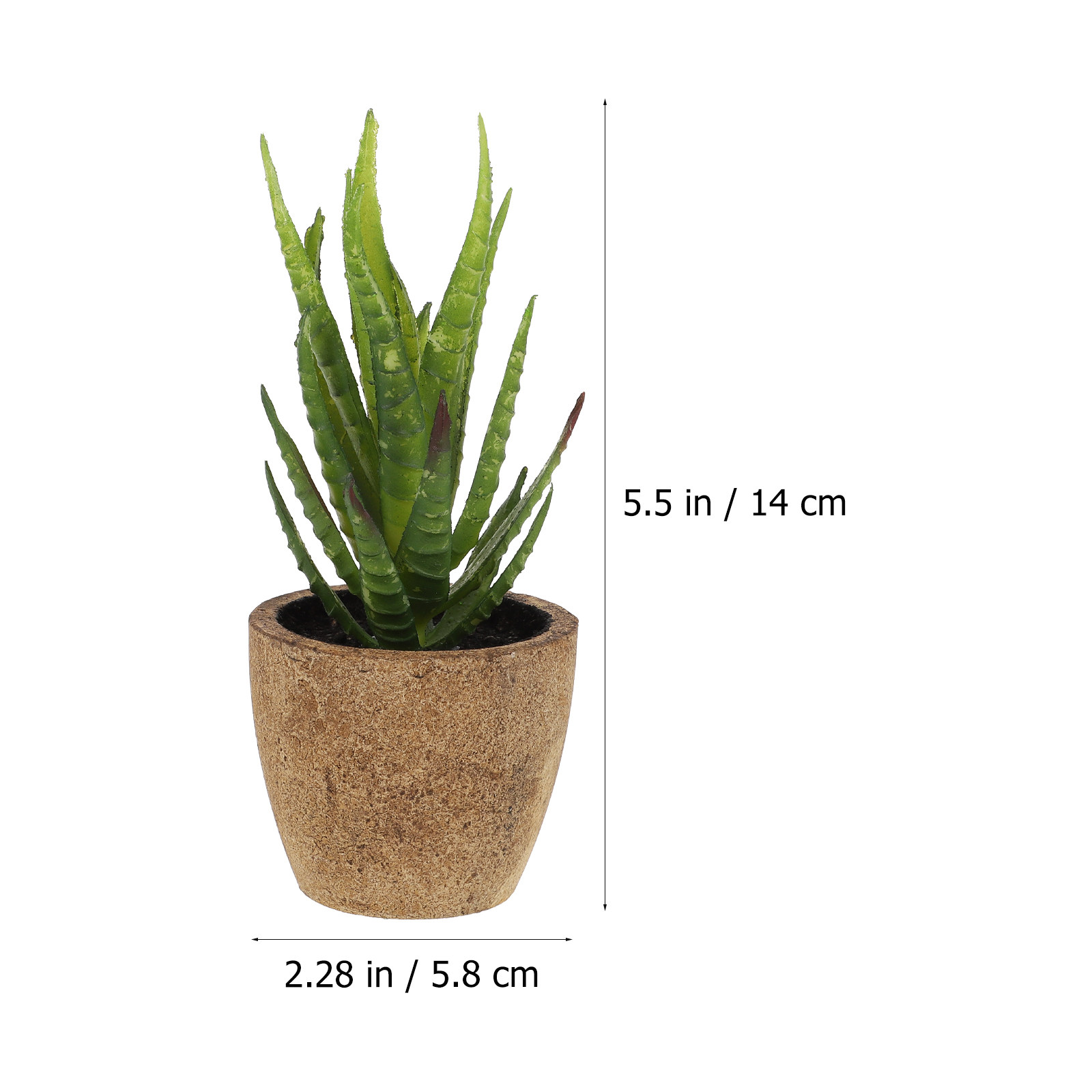 4 Stück Simulierte Sukkulenten – Bonsai Garden Cafe Bewertung und Preis