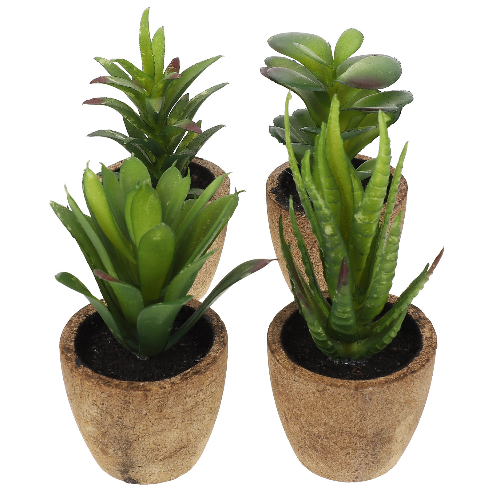 4 Stück Simulierte Sukkulenten – Bonsai Garden Cafe Bewertung und Preis