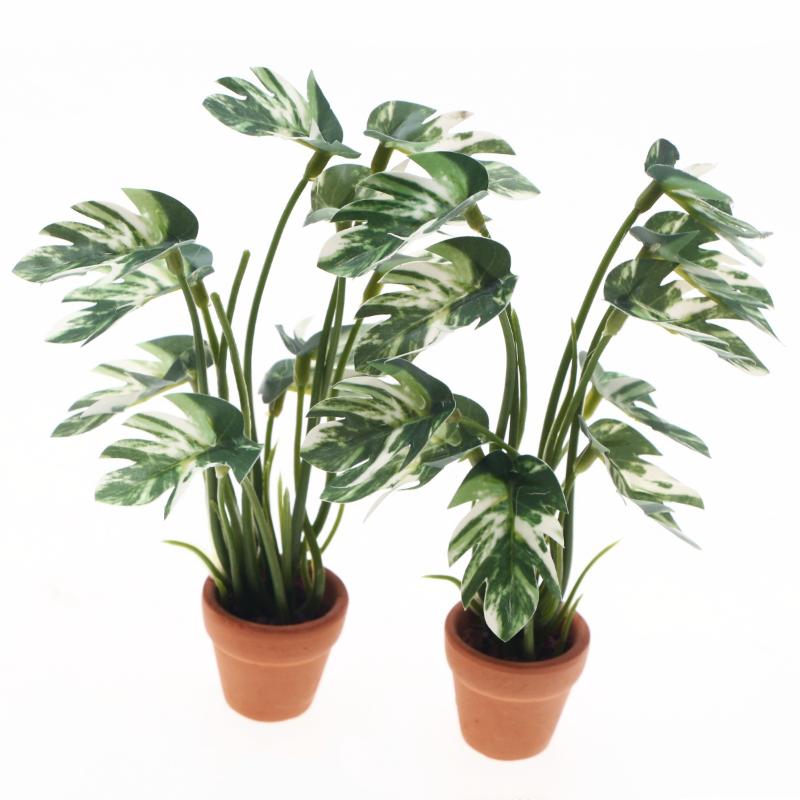 Neu. 1 Stück 1/12 Puppenhaus-S – Bonsai Garden Plants Bewertung und Preis