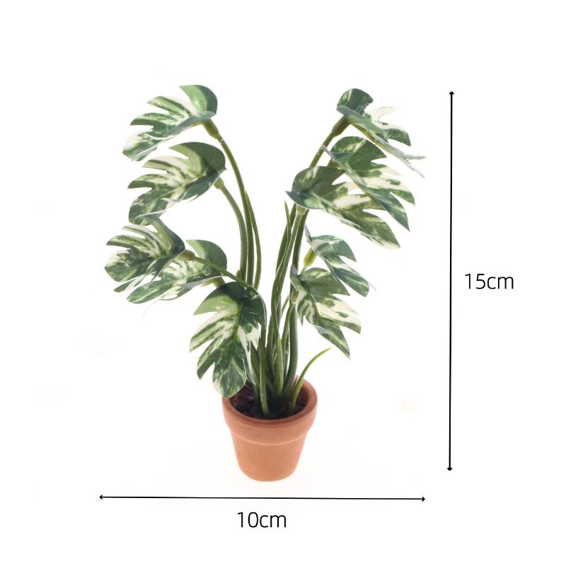Neu. 1 Stück 1/12 Puppenhaus-S – Bonsai Garden Plants Bewertung und Preis