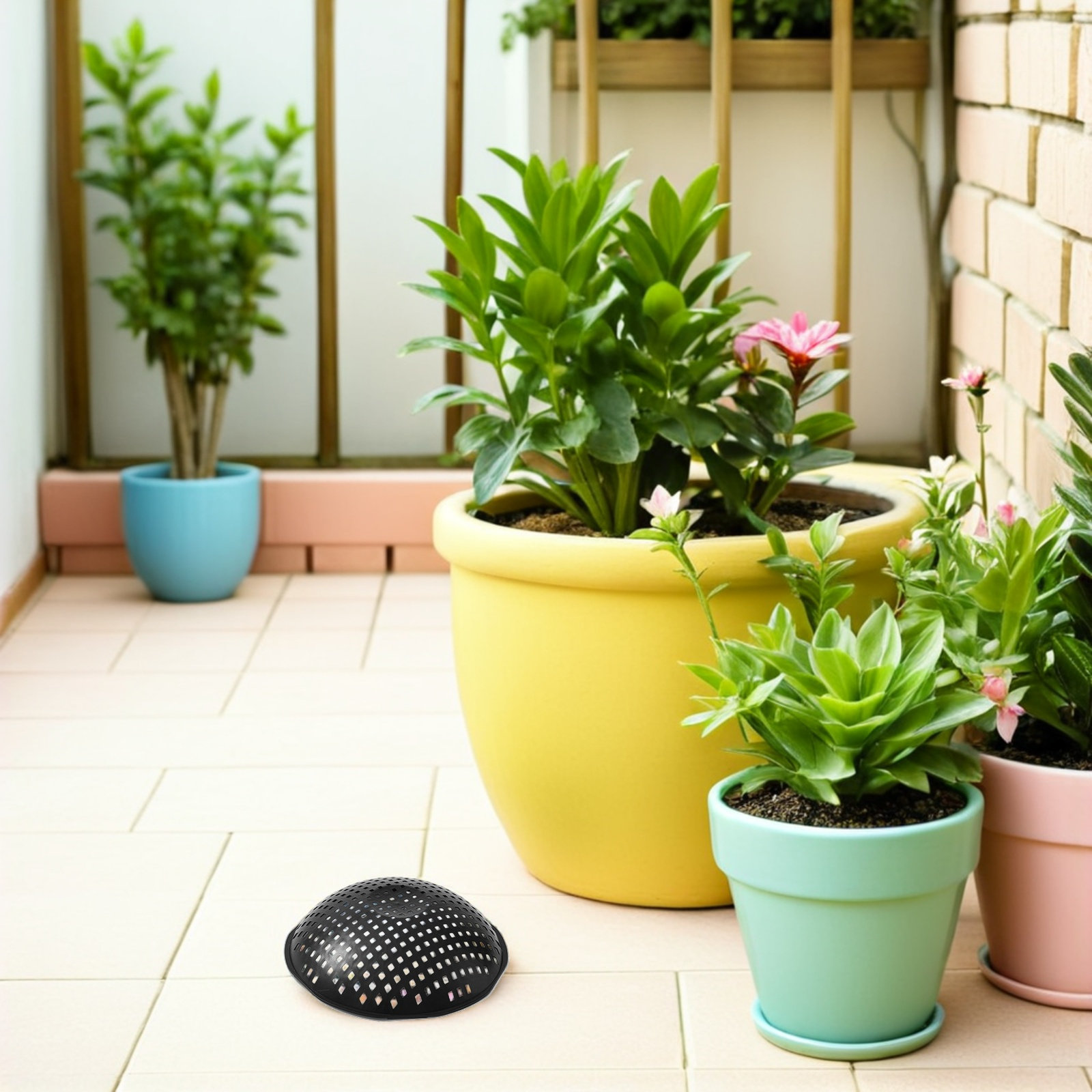 10 Stück Pflanzgefäß-Netzunter – Bonsai Garden Cafe Bewertung und Preis
